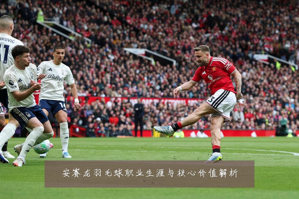 安赛龙羽毛球职业生涯与核心价值解析