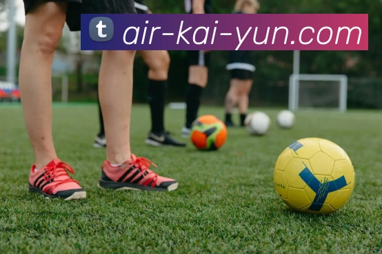 开云官网全站App